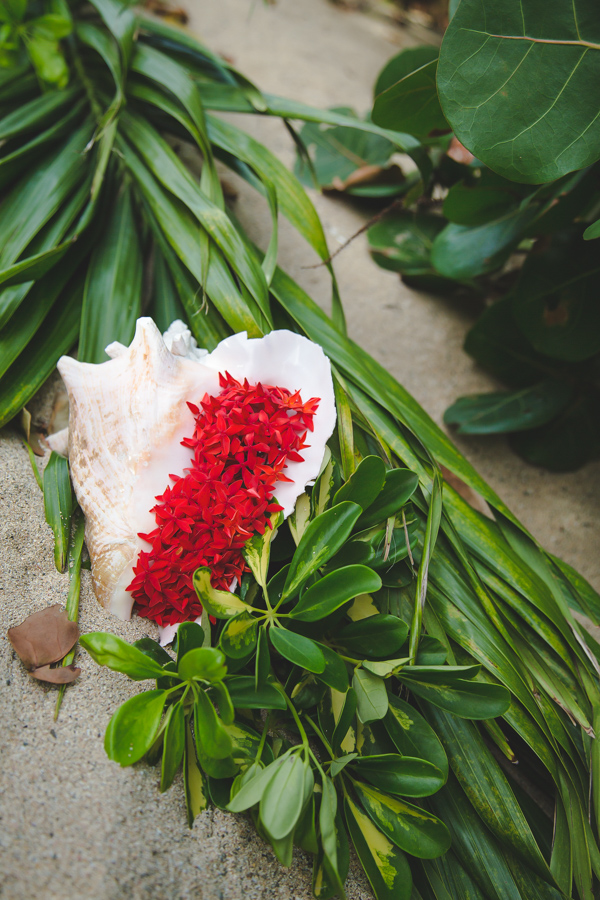 Conch Shell with bougainvillea on St. Croix Beach