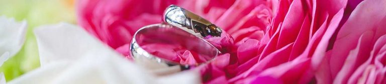 St. Croix wedding bride and groom rings sitting on roses